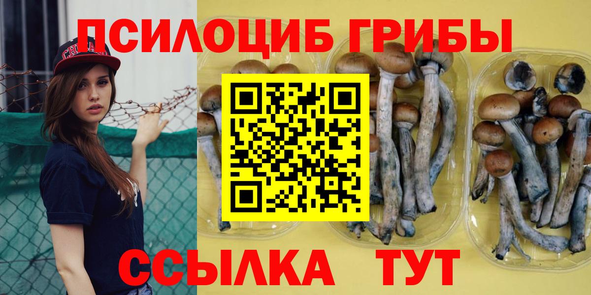 Псилоцибиновые грибы ЛСД Сочи